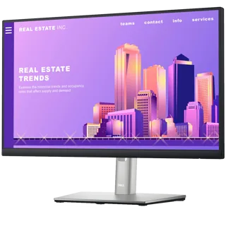 Dell Monitor P2422H LED 24 / 60.5CM (23.8;)